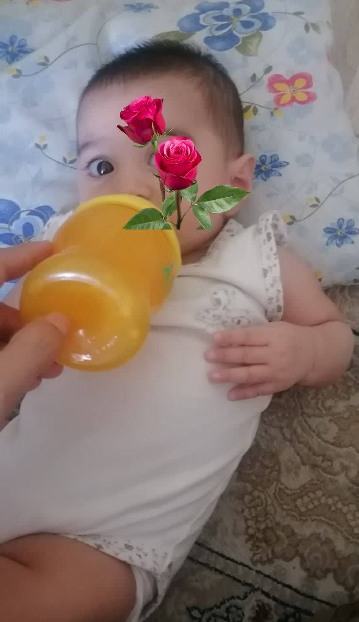 تصویر «آیه کوچولو»